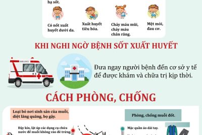 Những điều cần biết về bệnh sốt xuất huyết