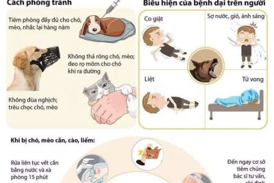 Bệnh dại – Biểu hiện – cách phòng tránh bệnh dại