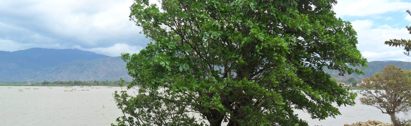 Góc nhìn về hồ Lăk